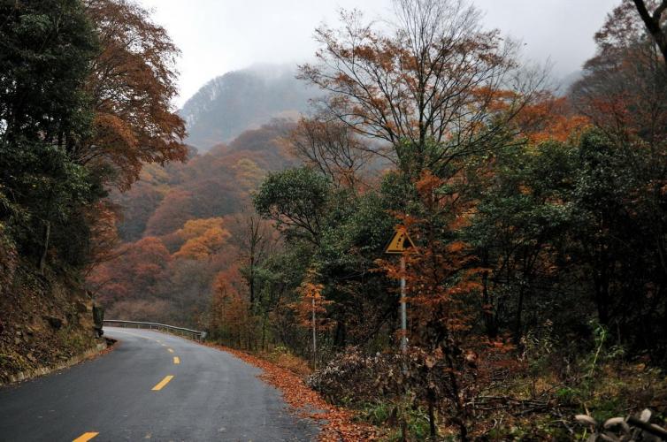 光雾山红叶自驾游各景区介绍/游玩攻略，光雾山红叶自驾游线路推荐(超详细版)