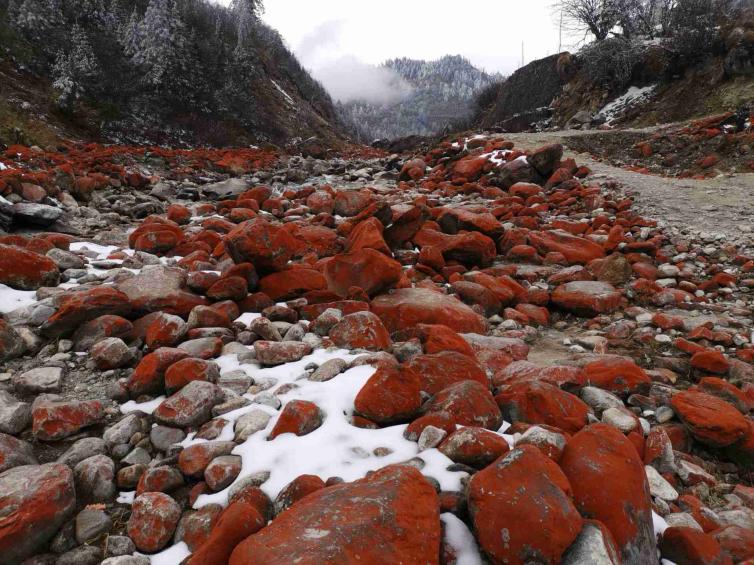 6个国内自驾游必去的目的地推荐，国内最值得一去的自驾游好去处推荐