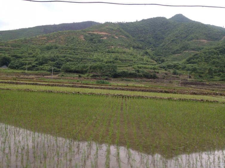 中秋节浙江周边1-3天自驾游去哪玩，7个浙江周边寻访历史的好去处为您推荐