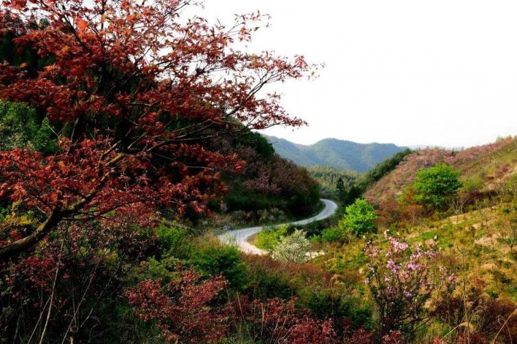 中秋浙江自驾游去哪里好玩，浙江自驾5日游好去处攻略推荐