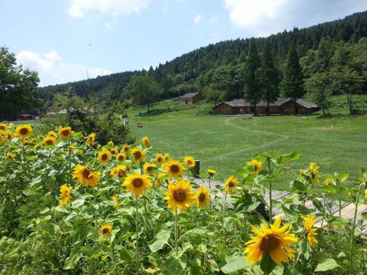 7-8月重庆周边避暑自驾游去哪里好，6个森林深处的小众自驾游景点值得一去