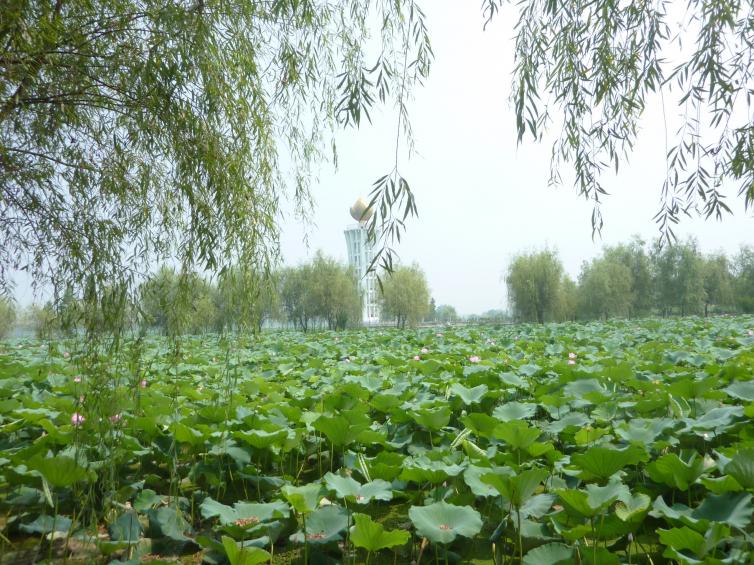 7条绝美长沙周边自驾游景点线路推荐，夏天长沙周边自驾游去哪里好玩