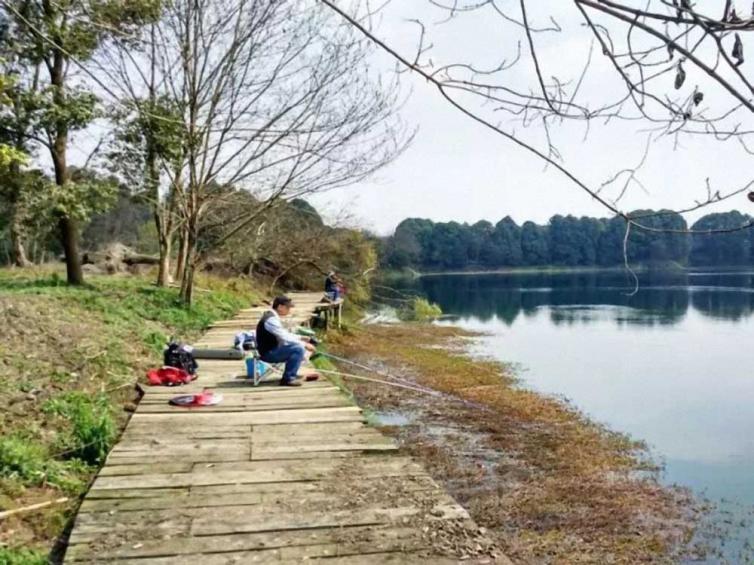 周末成都出发赏花、爬山、玩湖1日自驾游线路推荐，成都周边自驾游去哪好玩