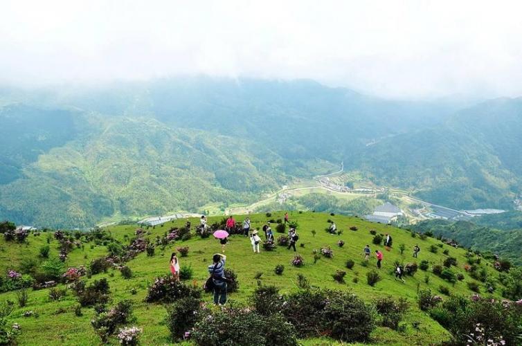 高州周边这3个自驾游景点最值得一去，高州出发自驾游最棒景点攻略推荐