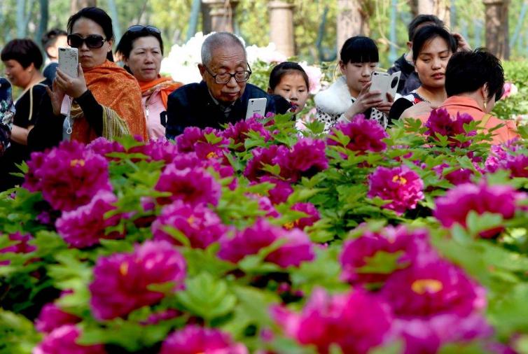 清明节西安周边6条踏春赏景自驾游线路推荐，西安适合自驾游好去处_景点推荐