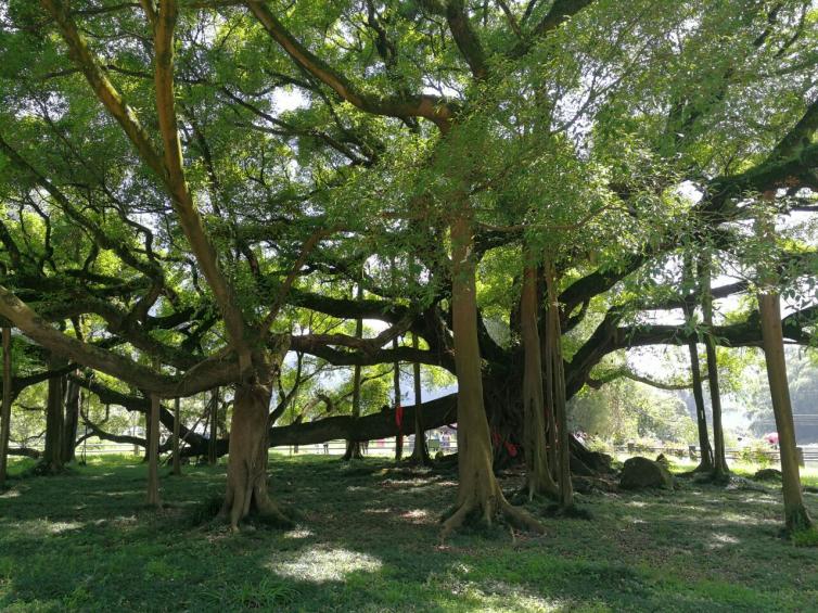 假期桂林周边错峰自驾游去哪里好玩，7个桂林鲜为人知自驾游景点推荐