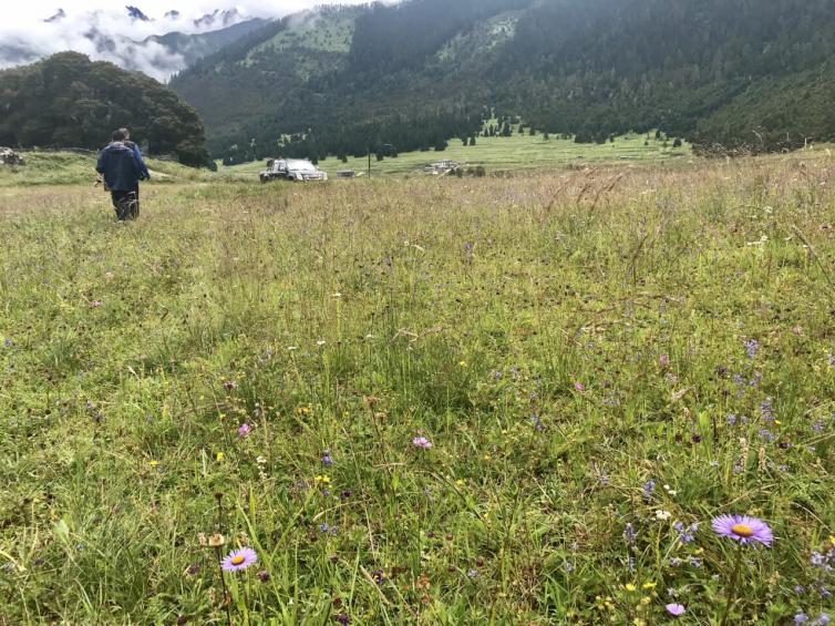 国庆节西藏自驾游小众景点推荐，8个西藏周边景美人少的好去处