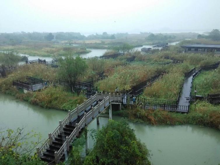 春节上海周边自驾游好玩景点路线推荐，6个上海短途自驾游好去处推荐