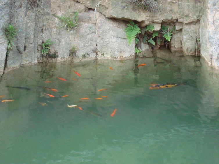 周末青岛自驾游去哪里好玩，8个青岛周边逃离都市生活湿地自驾游美景游玩攻略