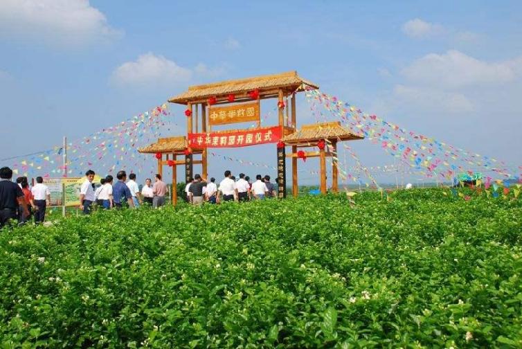 周末南宁横县自驾游去哪里好玩，横县出发自驾2日游好去处攻略推荐