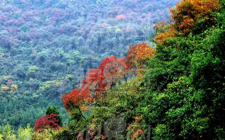 秋季山东登高必玩/必看的大自驾游好去处推荐，来山东一定要去去的景点推荐