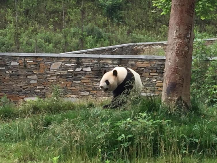 成都周边7个冷门自驾游目的地推荐，秋天成都风景极美的好去处攻略