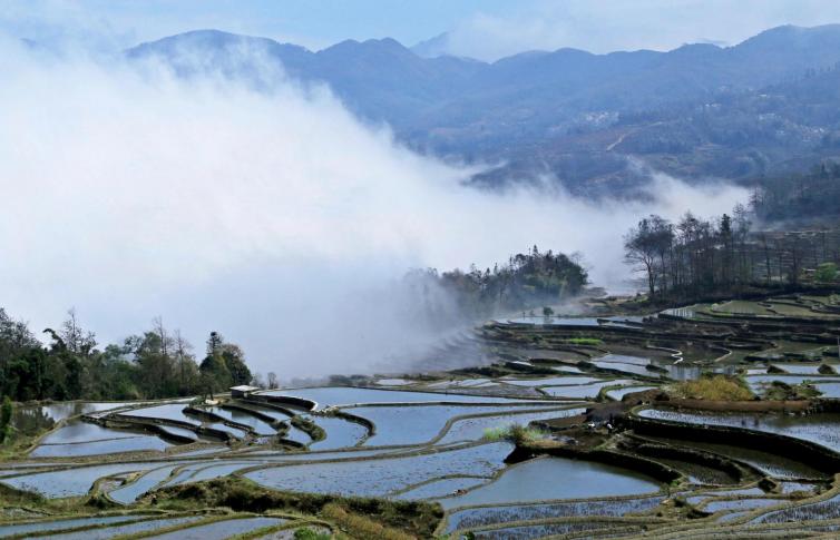 元旦青岛自驾游去哪好玩，7个青岛周边特色/小众自驾游好去处为您推荐