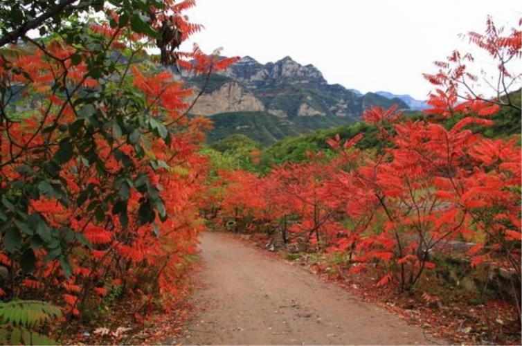 十一石家庄出发自驾游去哪里好玩，5个石家庄周边登山感受自然自驾游攻略