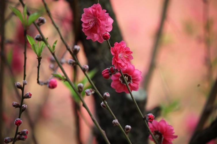 清明节广东出游9个首选自驾游玩乐好去处，广东周边自驾游线路_景点推荐