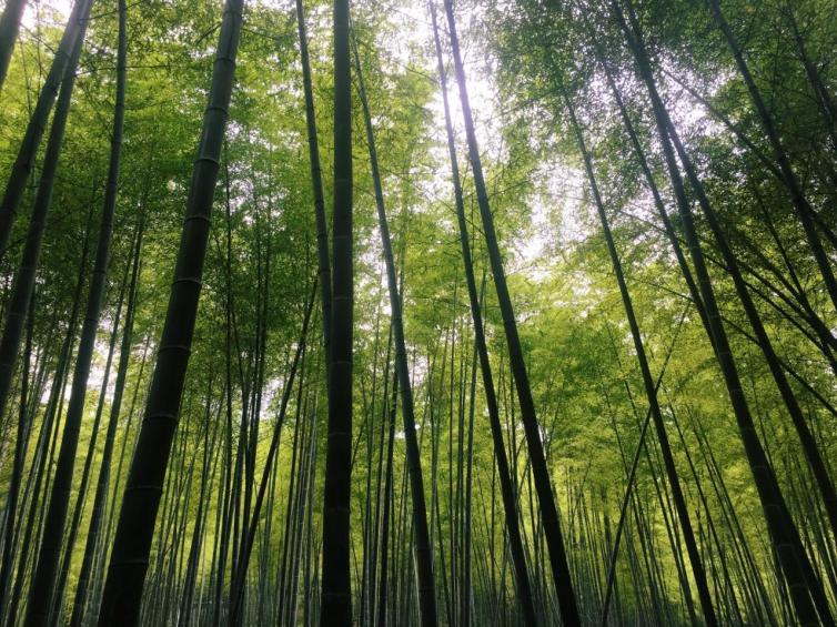 成都周边自驾一日游好玩景点推荐， 成都周末一日游去哪好