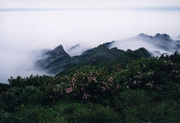 威海自驾游好去处推荐，周末威海自驾游去哪好玩，人少/小众/景美威海自驾游路线攻略