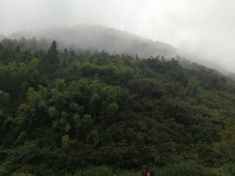 春节重庆出发自驾游去哪好玩，重庆周边自驾游最佳线路推荐