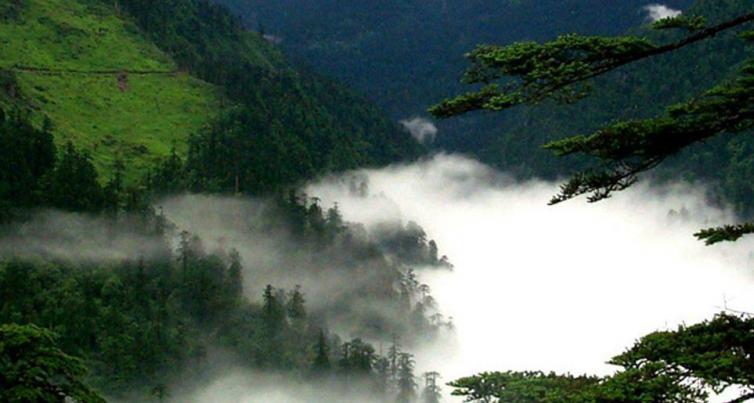 周末乐山自驾游去哪里好玩，乐山出发自驾2日游好去处攻略推荐