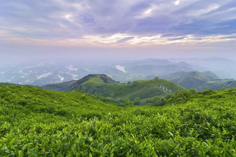 夏季河南省内避暑自驾游去哪好玩，5个河南周边避暑一定不能错过的美景推荐