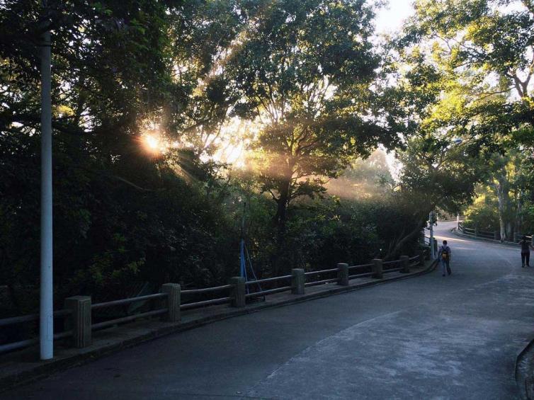 五一假期19条广东周边自驾游线路_景点好去处推荐，让您赏遍广东最美风景