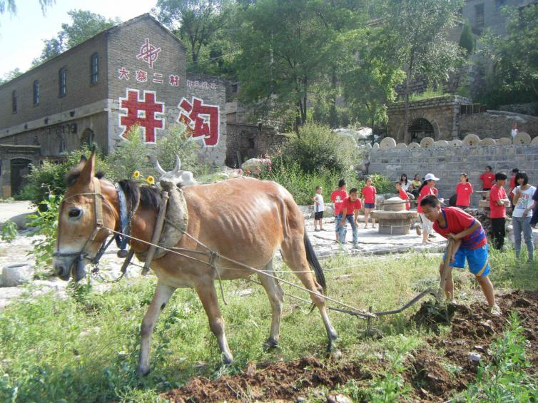 假期亲子自驾游好去处推荐，从山东出发4个亲子自驾游路线攻略