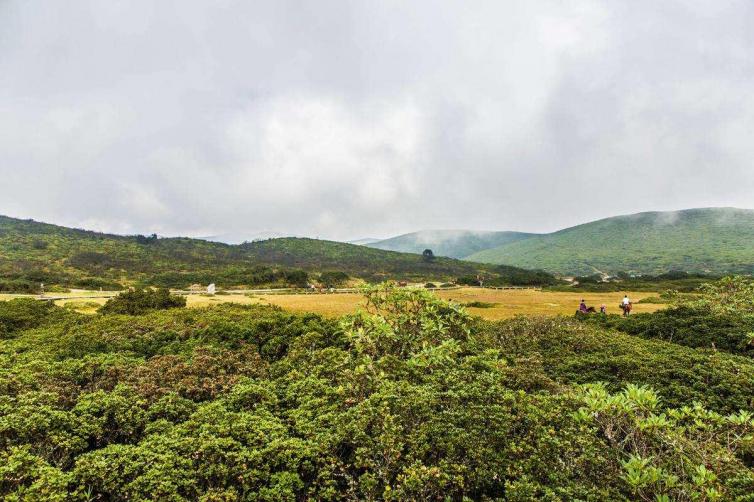 四川攀枝花周边2自驾游好去处推荐，迷人的四川攀枝花自驾游目的地推荐