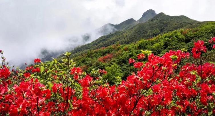 周末山东德州周边自驾游去哪儿好玩，5个德州自驾游美景线路攻略推荐