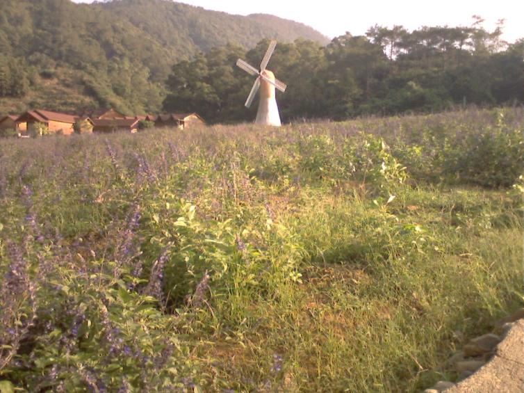 广东周边1-2日自驾游去哪里好玩，7个广东周边“天然大氧吧”自驾游景点经典推荐