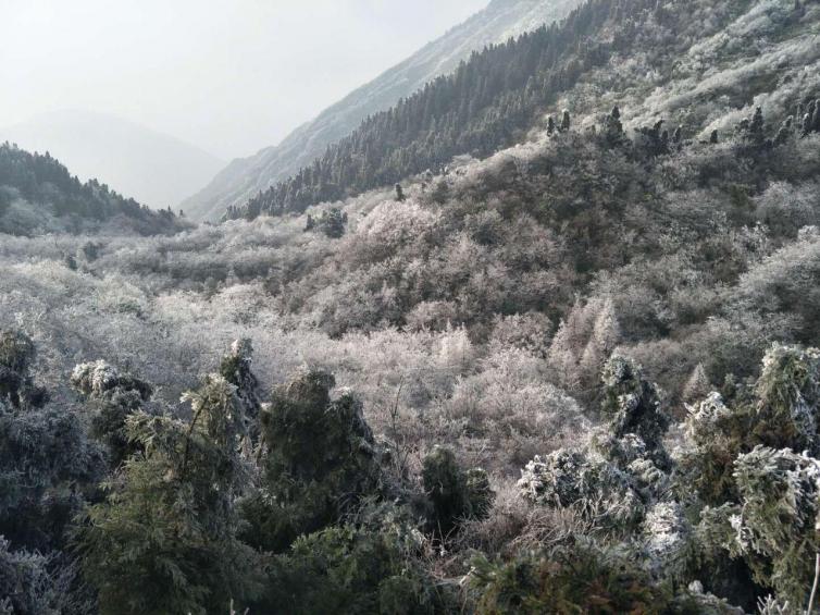 冬天湖南自驾游6个赏景胜地推荐，湖南冬天最美的雪景都在这里