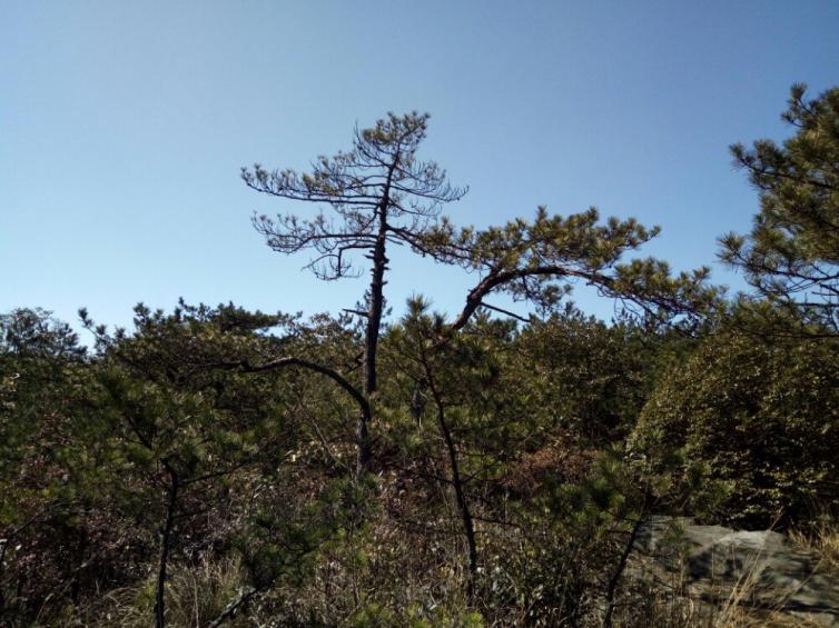 广西省内自驾游六大景点推荐，广西周边的这些美景你们都知道吗