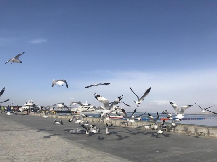 青海自驾游十大必去景区，关于青海自驾游景点推荐