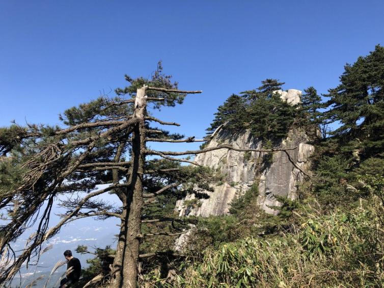 武汉出发最热门自驾游景点推荐，武汉周边短途自驾游好去处攻略