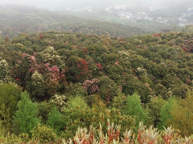 贵州自驾游最值得去的地方推荐，贵州周边自驾游受欢迎景点推荐