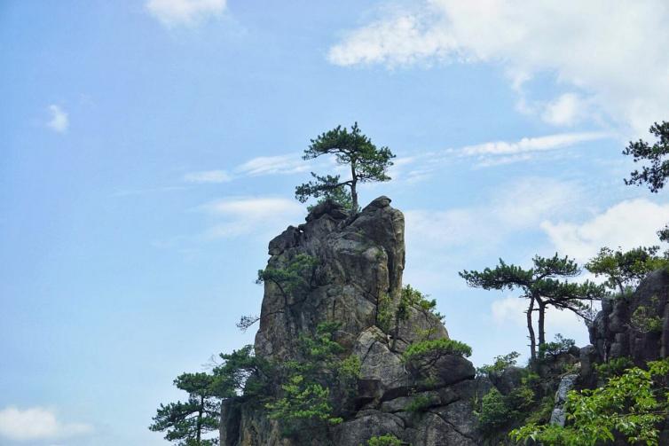 秋天上海出发自驾游去哪儿好玩，7个上海周边自驾游最佳线路景点攻略推荐