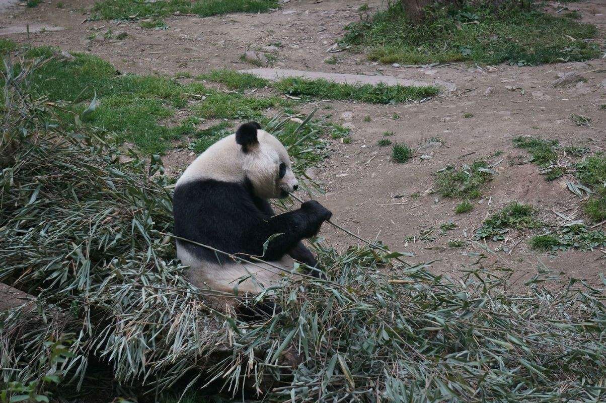 西安清明节亲子自驾游攻略，西安周边适合亲子自驾游的好去处