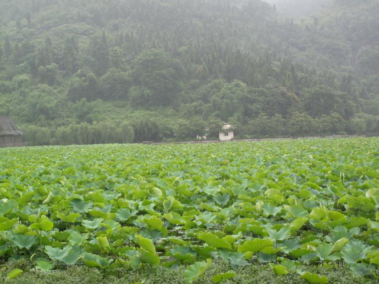 重庆周边自驾游路线景点攻略，周末重庆出发自驾游清凉溶洞好去处推荐