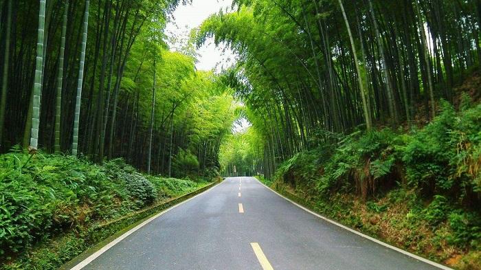 国内著名自驾游好去处攻略，冬天去这几个地方自驾风景简直美爆了！