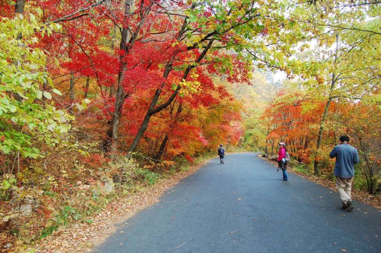 五一辽宁周边自驾游去哪儿好玩，辽宁8座最美山峰自驾游景点线路推荐