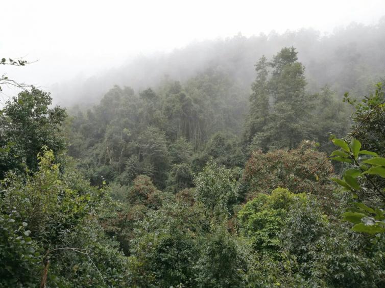 国庆节云南周边自驾游去哪里好玩，5条云南周边经典自驾游路线攻略推荐