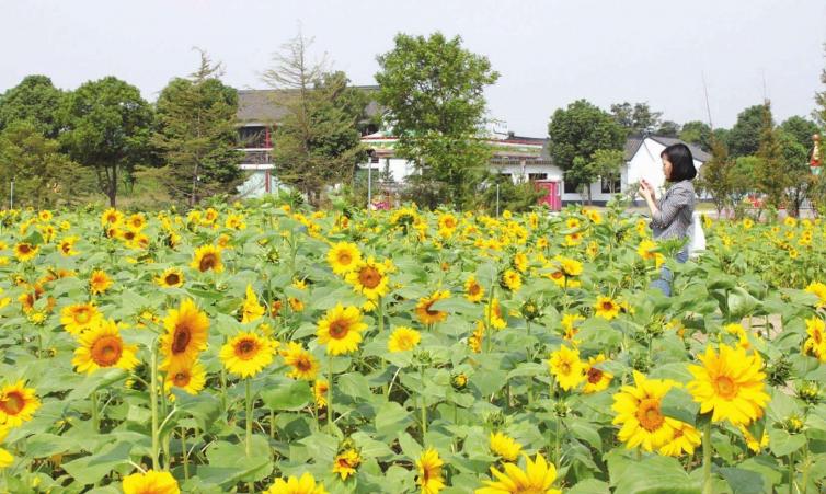 五一西安自驾游去哪儿好玩，14个西安周边人少美景美食自驾游景点线路攻略