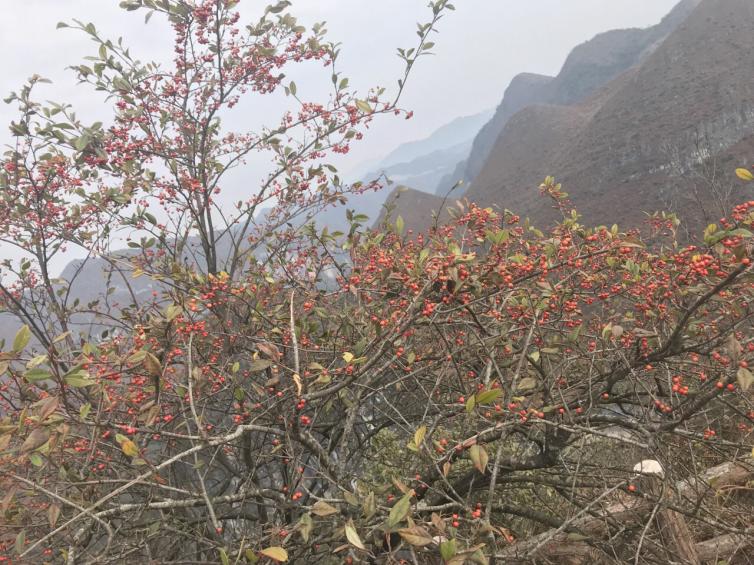 广西人少好玩的自驾游好去处推荐， 广西冷门自驾游景点攻略