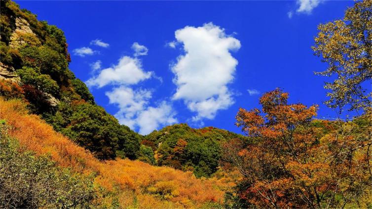 周末河北石家庄周边自驾游去哪里好玩，4个石家庄自驾游美景攻略推荐