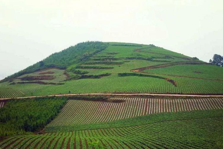 河北威县周边这3个自驾游景点最值得一去，河北威县出发自驾游最佳景点攻略推荐