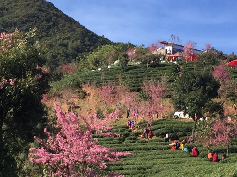 周末云南周边人少/散心自驾游线路推荐，10个适合散心的冷门自驾游线路收藏