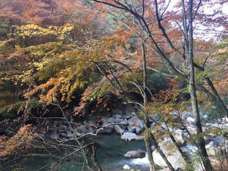 巴中光雾山红叶节自驾游路线大全，四川/陕西/重庆出发光雾山自驾游2-3天路线安排方案