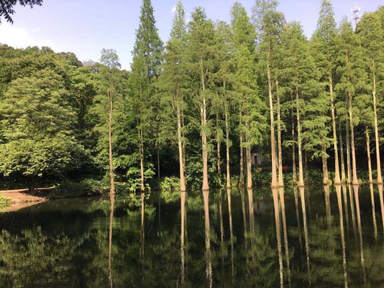 端午节河南周边自驾游最佳景点推荐，7条河南2-3日自驾游路线美景攻略