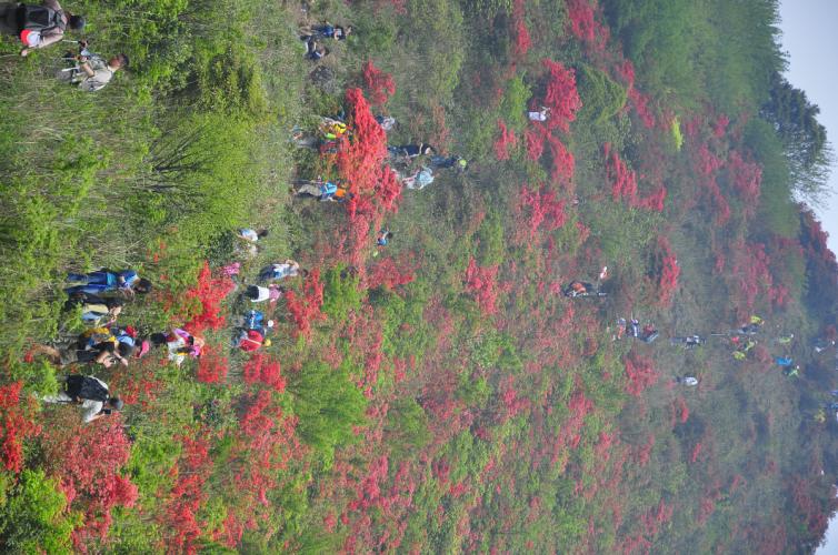 14个深圳周边亲子自驾游露营好去处推荐，深圳亲子自驾游去哪里好？