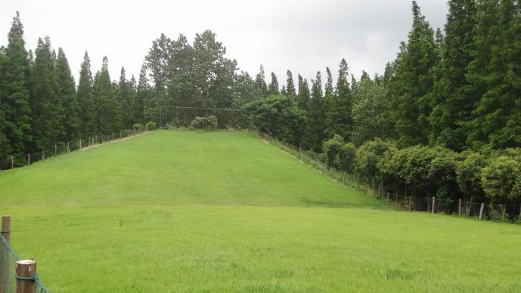 周六蚌埠五河周边自驾游去哪里好玩，4个蚌埠五河自驾游小众景点攻略推荐