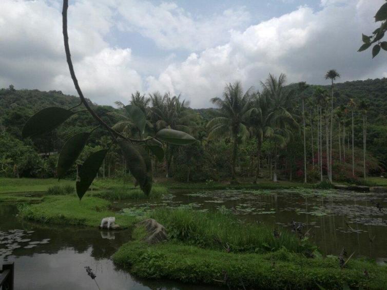 海南三亚自驾游好玩的地方推荐，感受不一样的热带风情